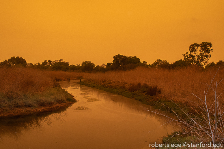 emily renzel wetlands